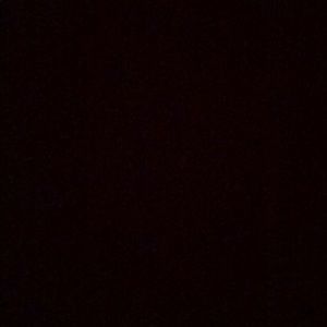 Meet your Posher, Dante